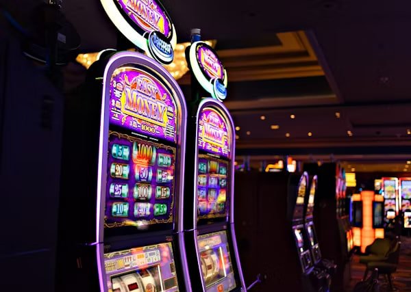 net303 login app interface on Android mobile phone showing sports betting and live casino sections